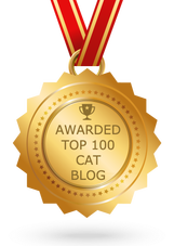 Top 100 cat blogs